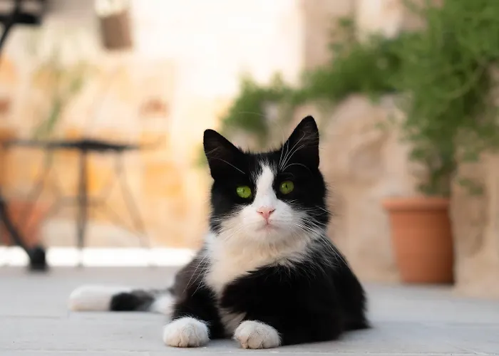 Escape Cave Ξενοδοχείο *